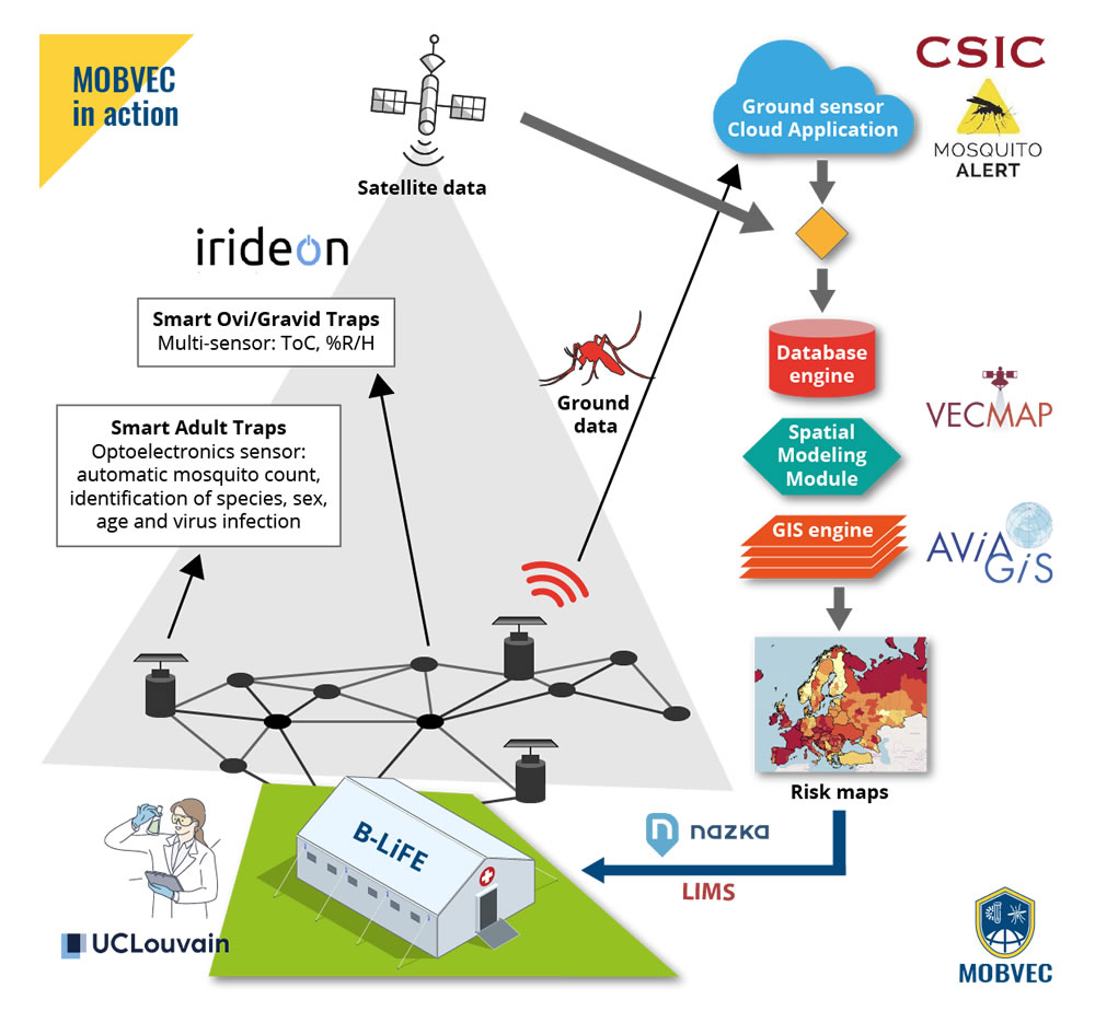 mobvec-project-graphic