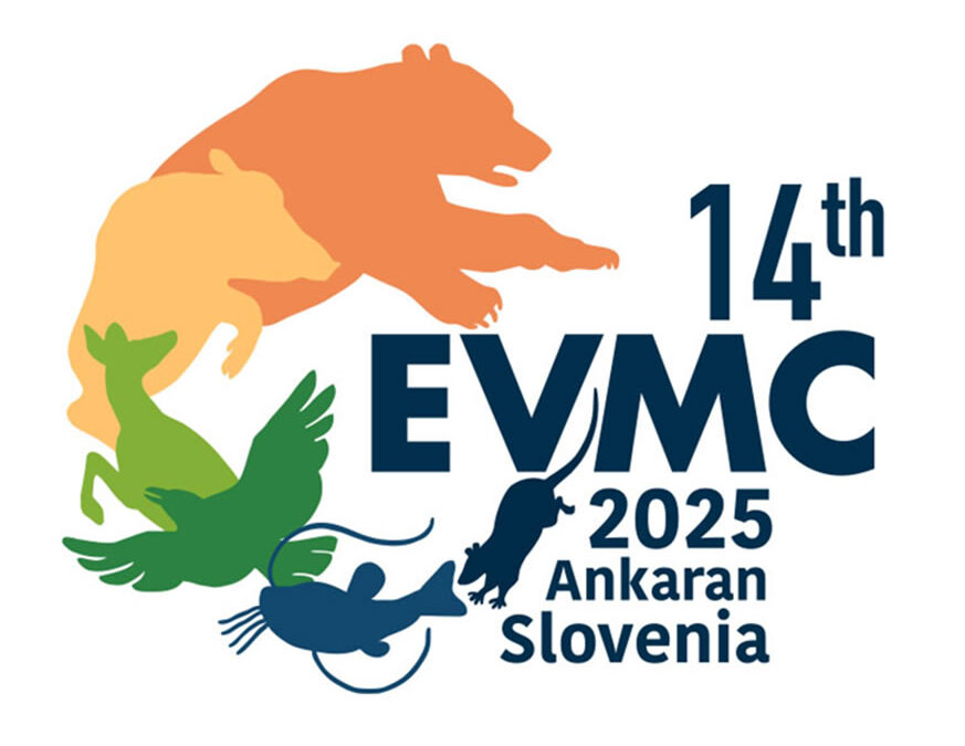 EVM2025