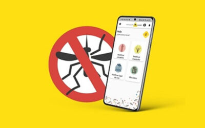Press Release: INSA promotes the use of Mosquito Alert in Portugal
