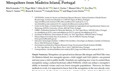 Wolbachia Screening in Aedes aegypti and Culex pipiens Mosquitoes from Madeira Island, Portugal